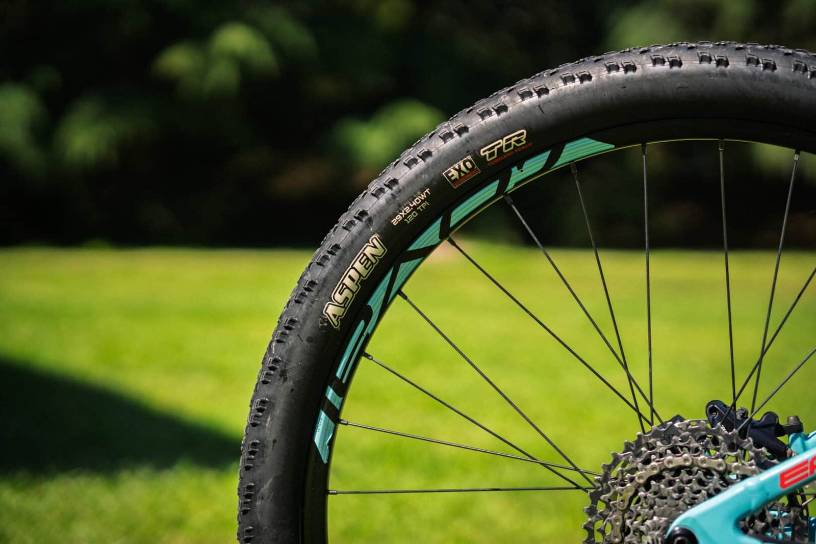 SPECIALIZED EPIC R29 TALLE M (OUTLET)