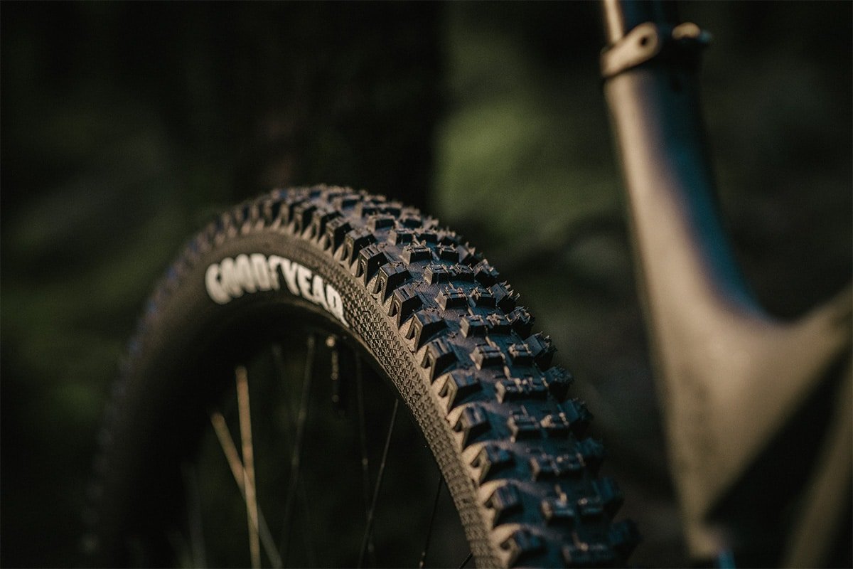 GOODYEAR NEWTON MTF Downhill R29x2.5